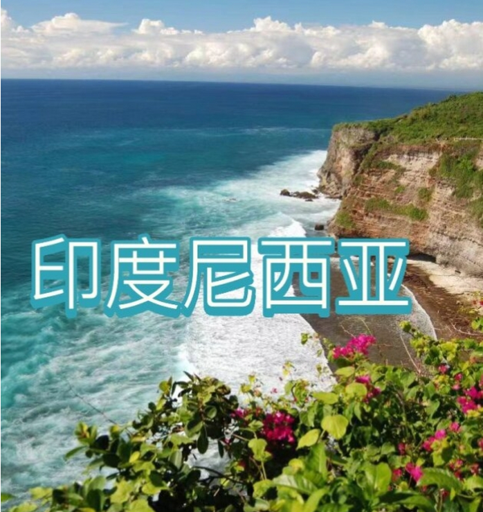 际电商(印尼)产业博览会冰球突破2025中国国(图2) 际电商(印尼)产业博览会冰球突破2025中国国(图2)