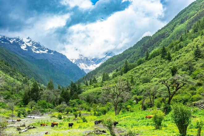 穿毕徒步地理手册：沉浸式穿越神山秘境冰球突破游戏此生必走！收好四姑娘山长(图20)